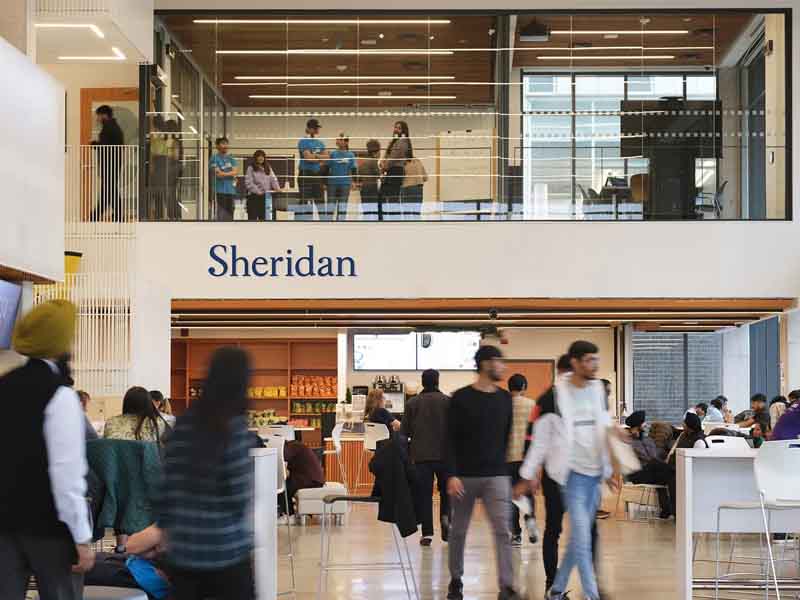 Новая программа в Sheridan College для выпускников вузов – IT PROJECT MANAGEMENT