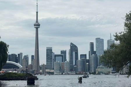 варианты обучения в Канаде